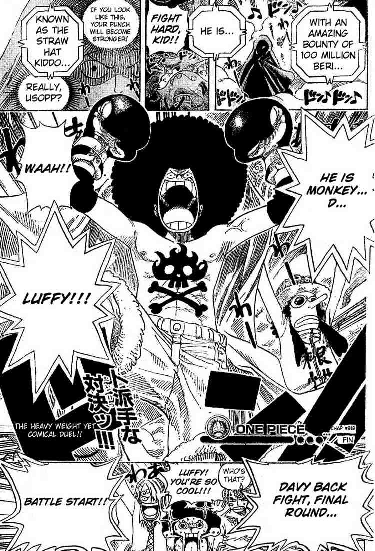 One Piece Chapter 313 19